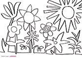 Artshed at home - Garden