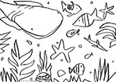 Artshed at home - Under the sea